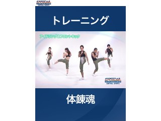 #28 トレーニング・体錬魂