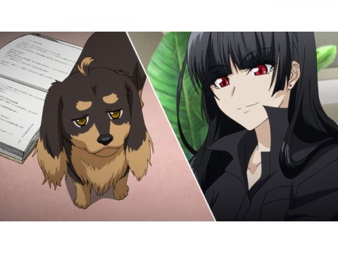 アニメ 犬とハサミは使いよう 01 犬も歩けば棒に当たる フル動画 初月無料 動画配信サービスのビデオマーケット