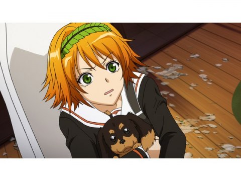 アニメ 犬とハサミは使いよう 01 犬も歩けば棒に当たる フル動画 初月無料 動画配信サービスのビデオマーケット