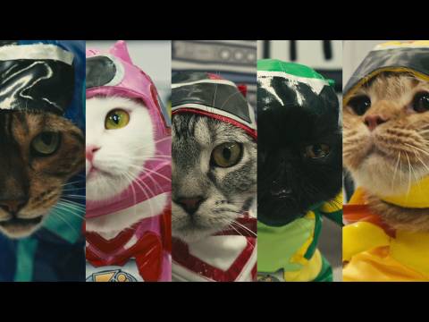 無料視聴あり アニメ ネコ戦隊 びたたま の動画まとめ 初月無料 動画配信サービスのビデオマーケット 無料視聴あり アニメ ネコ戦隊 びたたま の動画まとめ 初月無料 動画配信サービスのビデオマーケット