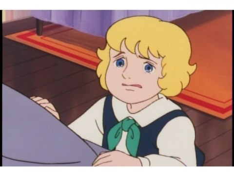 無料視聴あり アニメ 小公子セディ の動画まとめ 初月無料 動画配信サービスのビデオマーケット