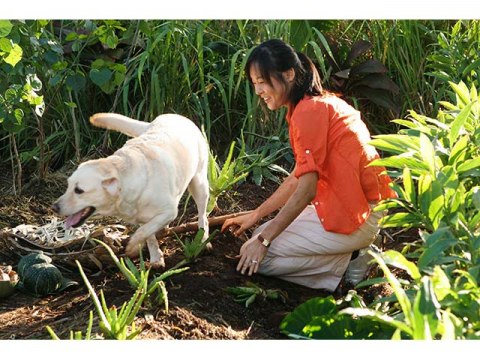 無料視聴あり ドラマ Lost シーズン2 の動画まとめ 初月無料 動画配信サービスのビデオマーケット