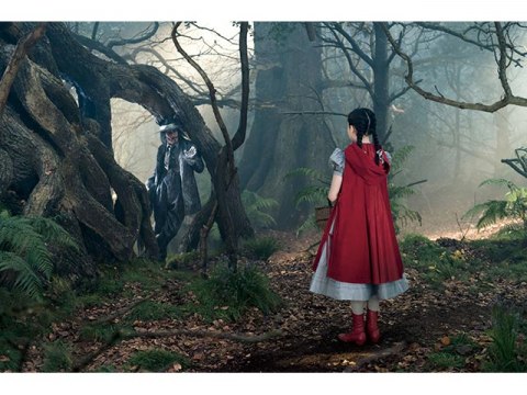 映画 イントゥ ザ ウッズ イントゥ ザ ウッズ 字幕版 フル動画 初月無料 動画配信サービスのビデオマーケット