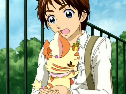 無料視聴あり アニメ Yes プリキュア5gogo の動画まとめ 初月無料 動画配信サービスのビデオマーケット