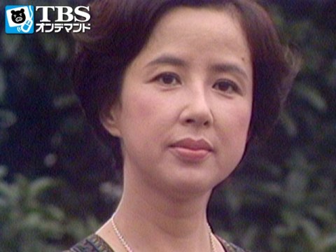 ドラマ 岸辺のアルバム フル動画