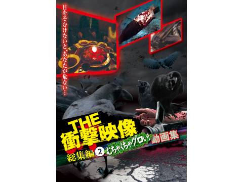 無料視聴あり 趣味 その他 The 衝撃映像 総集編 2 むちゃくちゃグロい 動画集 の動画 初月無料 動画配信サービスのビデオマーケット