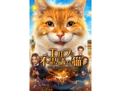 映画 エルフと不思議な猫 予告編 フル動画 初月無料 動画配信サービスのビデオマーケット