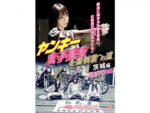 無料視聴あり 映画 ヤンキー女子高生 全国制覇への道 茨城編 の動画 初月無料 動画配信サービスのビデオマーケット