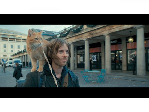 映画 ボブという名の猫 幸せのハイタッチ ボブという名の猫 幸せのハイタッチ 吹き替え 字幕版 フル動画 初月無料 動画 配信サービスのビデオマーケット