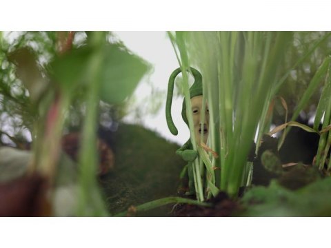 アニメ こびと観察入門1 2 クサマダラオオコビト編 フル動画 初月無料 動画配信サービスのビデオマーケット