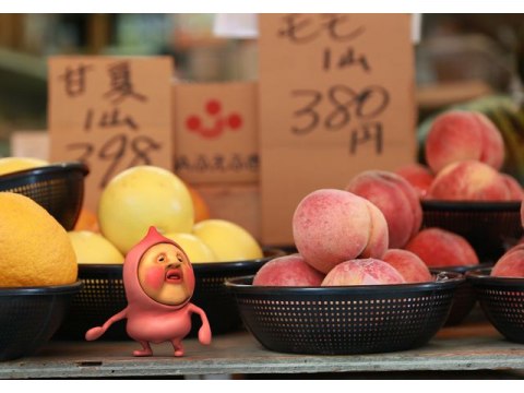 アニメ こびと観察入門4 こびと大研究 ハタキツボネ イヤシミドリバネ編 フル動画 初月無料 動画配信サービスのビデオマーケット