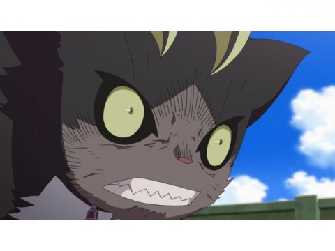 アニメ 青の祓魔師 第10話 黒猫 ケットシー フル動画 初月無料 動画配信サービスのビデオマーケット