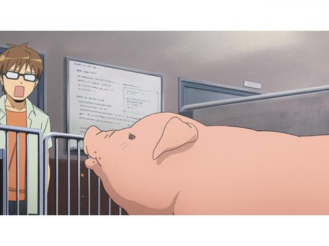 アニメ 銀の匙 Silver Spoon 第1期 第9話 八軒 豚丼に迷う フル動画 初月無料 動画配信サービスのビデオマーケット