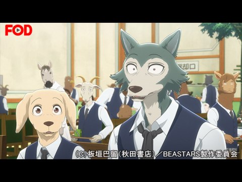 無料視聴あり アニメ Beastars の動画まとめ 初月無料 動画配信サービスのビデオマーケット