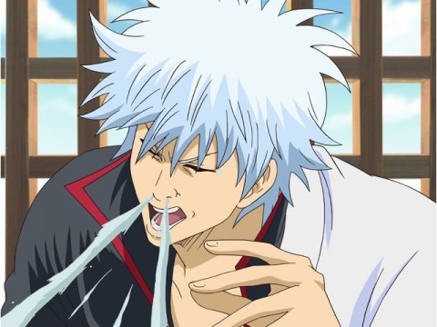 アニメ 銀魂 1年目 第47話 さくらんぼってアレ桜の木になるの フル動画 初月無料 動画配信サービスのビデオマーケット