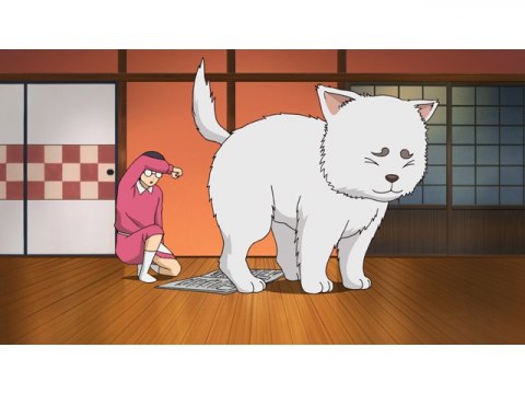 アニメ 銀魂 第230話 ここのタイトルもメールのタイトルみたいなトコも考えるのメンド臭え フル動画 初月無料 動画配信サービスのビデオマーケット