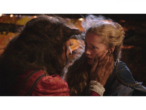 映画 美女と野獣 美女と野獣 字幕版 フル動画 初月無料 動画配信サービスのビデオマーケット