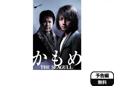 無料視聴あり 趣味 その他 かもめ の動画 初月無料 動画配信サービスのビデオマーケット