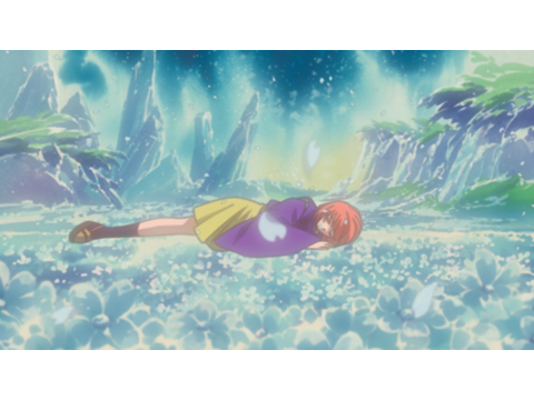 アニメ 遙かなる時空の中で 八葉抄 13 心 解き放て フル動画 初月無料 動画配信サービスのビデオマーケット