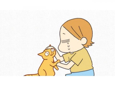 アニメ くるねこ の動画まとめ 初月無料 動画配信サービスのビデオマーケット
