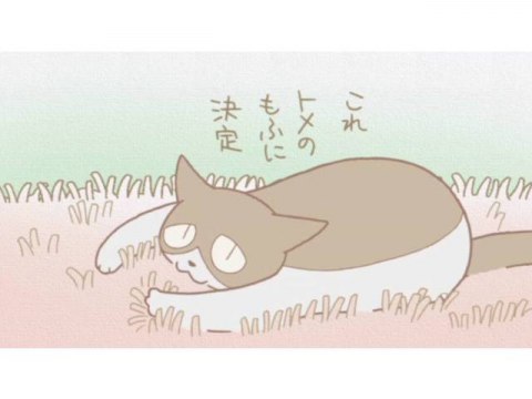 アニメ くるねこ 新シーズン の動画まとめ 初月無料 動画配信サービスのビデオマーケット