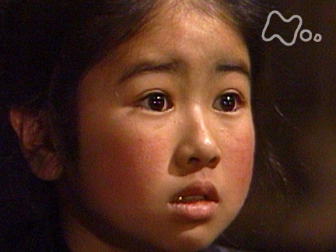 無料視聴あり テレビドラマ おしん の動画 初月無料 動画配信サービスのビデオマーケット