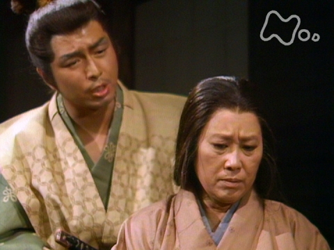 太閤記 (1987年のテレビドラマ)