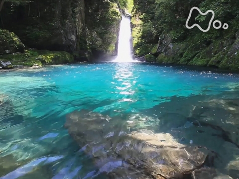 あさイチ みんなでシェア旅 高知 水の王国の魅力をたっぷり あさイチ の動画 初月無料 動画配信サービスのビデオマーケット