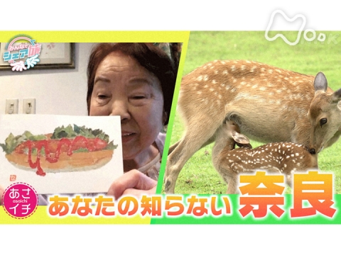 あさイチ みんなでシェア旅 奈良 あさイチ の動画 初月無料 動画配信サービスのビデオマーケット あさイチ みんなでシェア旅 奈良 あさイチ の動画 初月無料 動画配信サービスのビデオマーケット