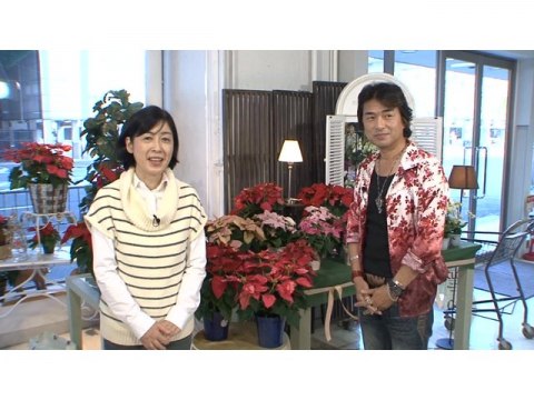 趣味 その他 手づくり花づくり 第1002回 冬の鉢花管理 フル動画 初月無料 動画配信サービスのビデオマーケット