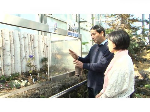 趣味 その他 手づくり花づくり 第1063回 多様性をもつ植物の世界 フル動画 初月無料 動画配信サービスのビデオマーケット