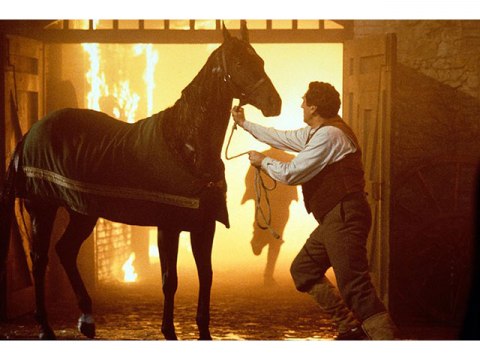 映画 黒馬物語 ブラック ビューティー 黒馬物語 ブラック ビューティー 字幕版 フル動画 初月無料 動画配信サービスのビデオマーケット