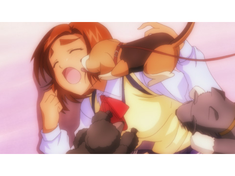 あまえないでよっ 喝 第7話 第12話のまとめフル動画 初月無料 動画配信サービスのビデオマーケット