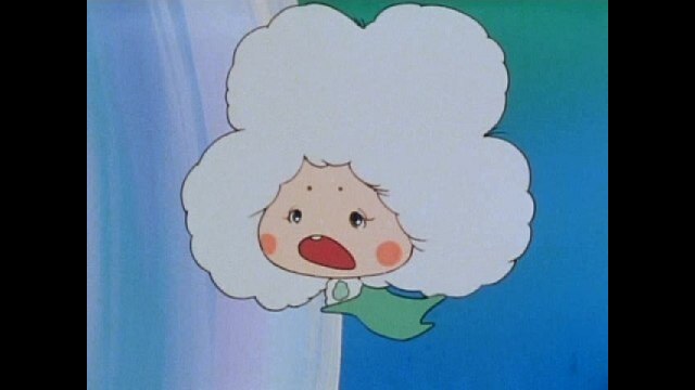 #27 聖母マリアの涙