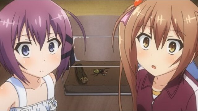 #7 わらわの騎士