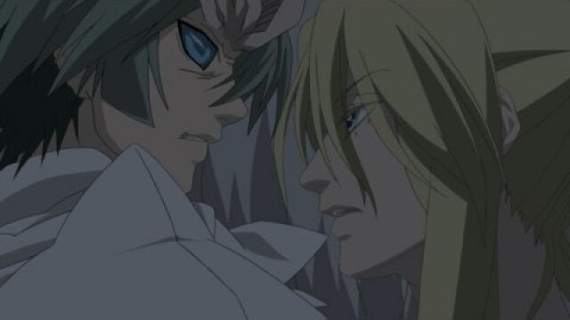 第十二夜 児手柏の両面