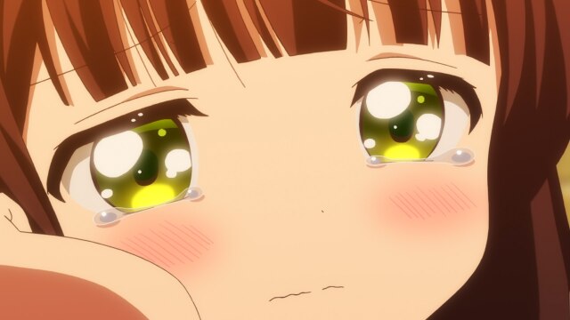 第8羽