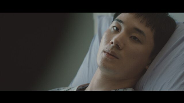 第29回～第40回+スピンオフ第1回～第4回