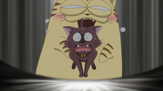 第10話 にゃんてこった!　ドキドキが止まらない?