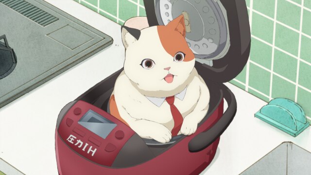 第6話 ムームーと炊飯器