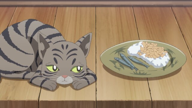 第7話 化け猫の来訪