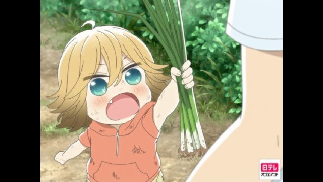 第9話 いりこだし