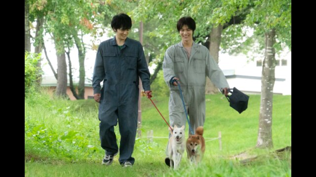 犬部!