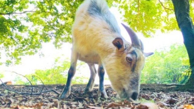 第6話 世界平和