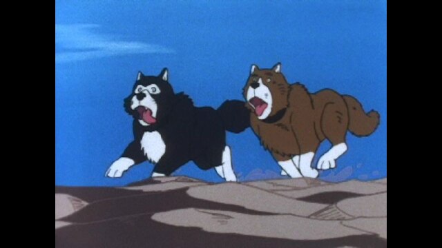 第17話 奇跡の犬、タロとジロ