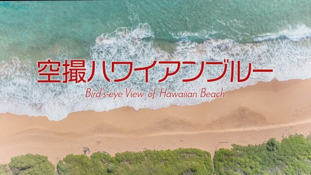 ハワイベストビーチ 空撮ハワイアンブルー