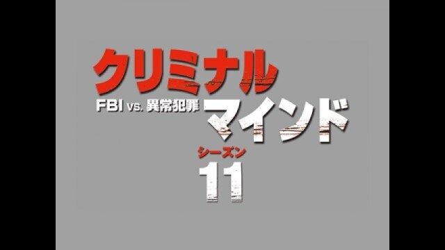 クリミナル・マインド/FBI vs. 異常犯罪 シーズン11｜カンテレ