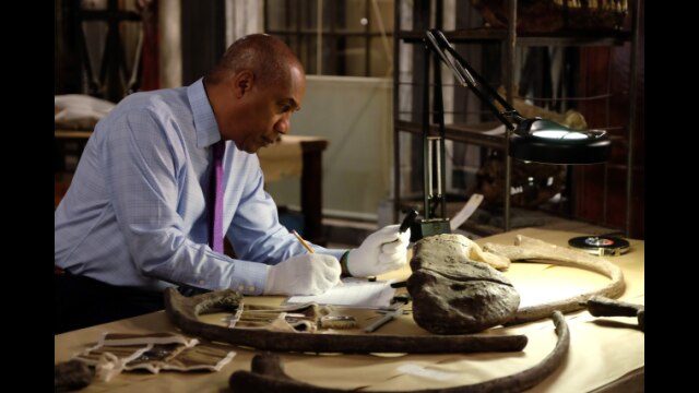 第5話 世界がひれ伏すあなた