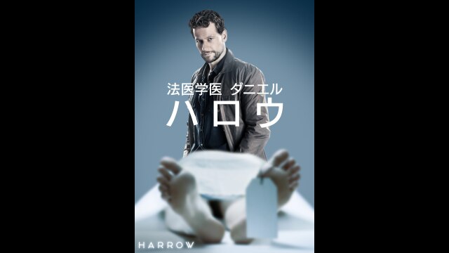 予告編