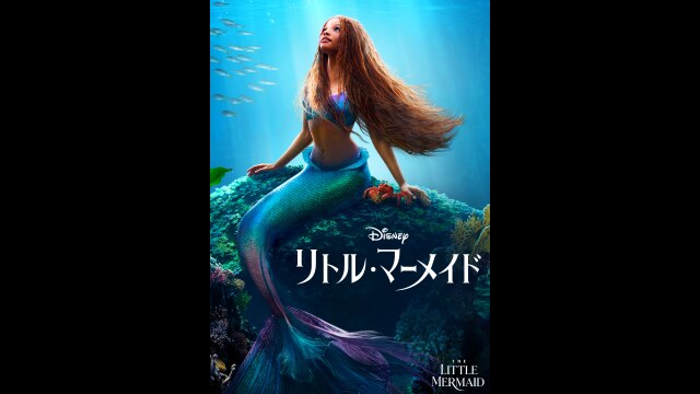 本編プレビュー映像